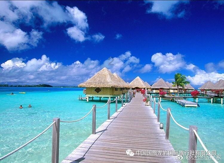 少先队动态|校园运动展风采