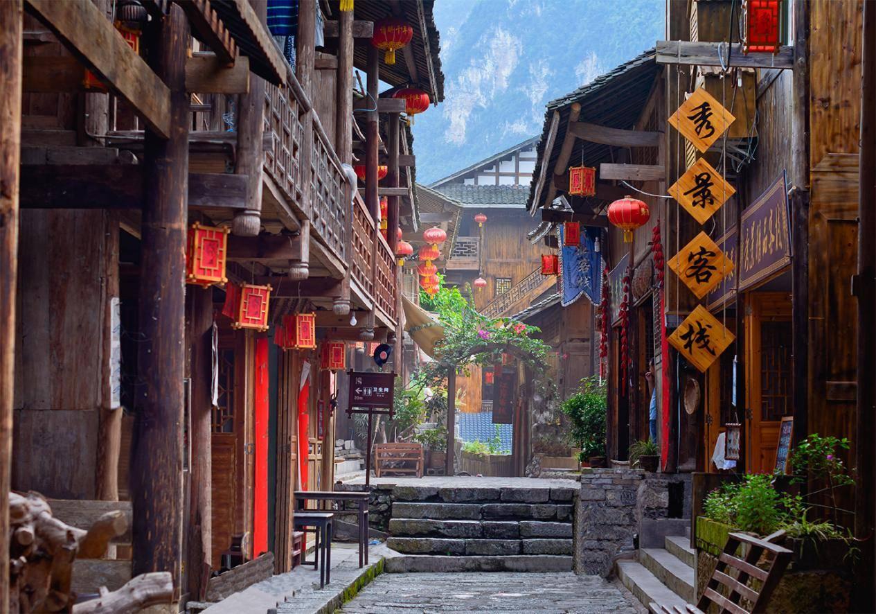 大猩猩库巴